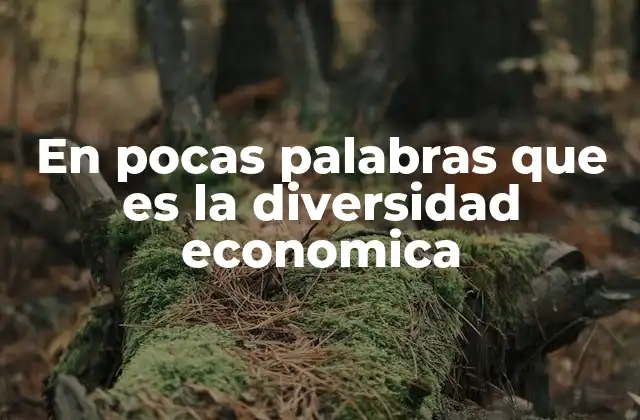 En Pocas Palabras que es la Diversidad Economica