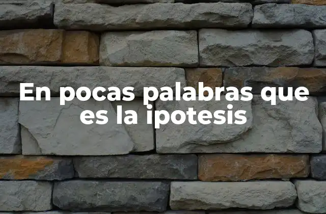 En Pocas Palabras que es la Ipotesis