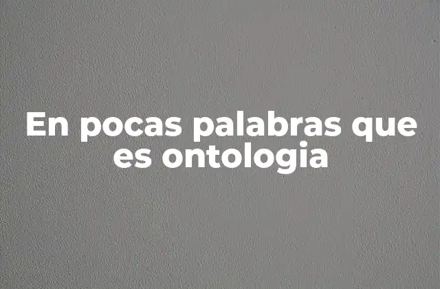 En Pocas Palabras que es Ontologia