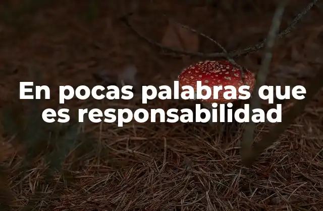 En Pocas Palabras que es Responsabilidad