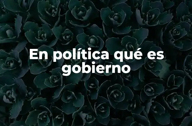La estructura del poder estatal y su relación con el gobierno
