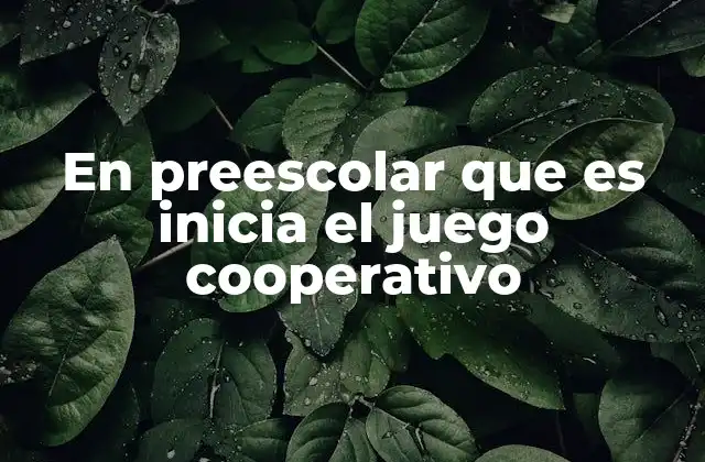 En Preescolar que es Inicia el Juego Cooperativo