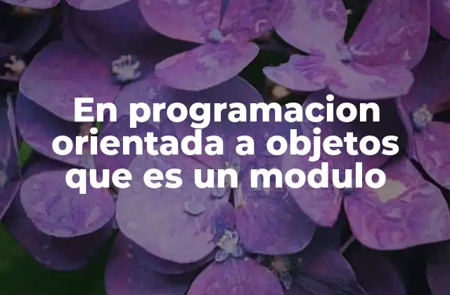 En Programacion Orientada a Objetos que es un Modulo