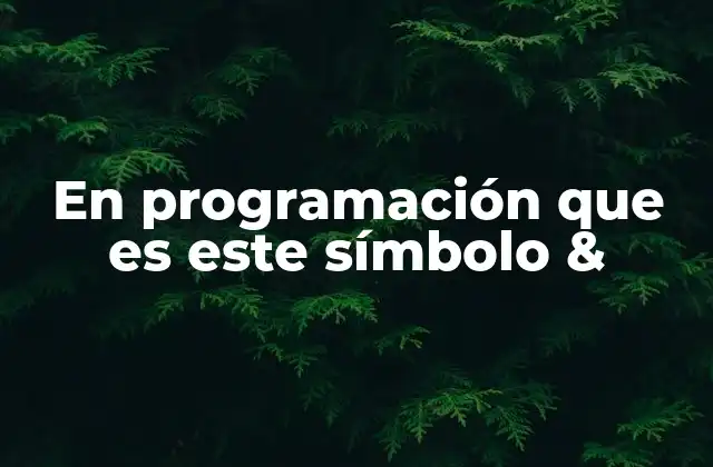 En Programación que es Este Símbolo &