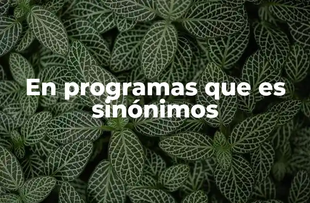 En Programas que es Sinónimos