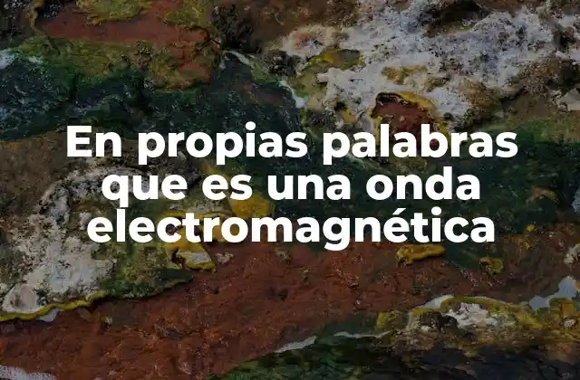 En Propias Palabras que es una Onda Electromagnética