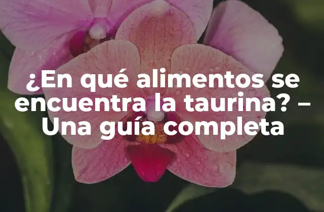 ¿en Qué Alimentos Se Encuentra la Taurina? – una Guía Completa