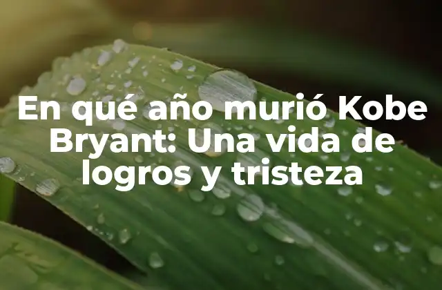 En Qué Año Murió Kobe Bryant: una Vida de Logros y Tristeza