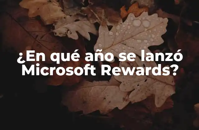 ¿en Qué Año Se Lanzó Microsoft Rewards?