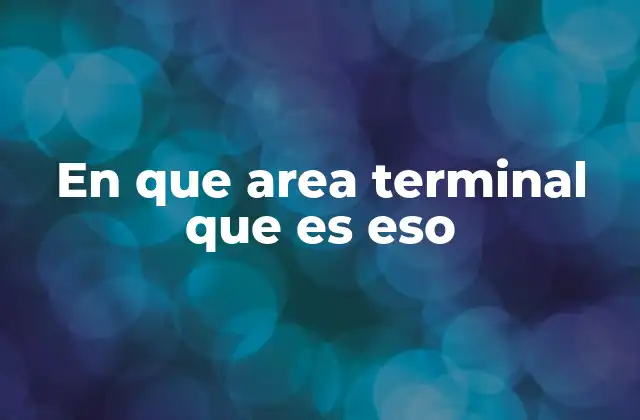 En que Area Terminal que es Eso
