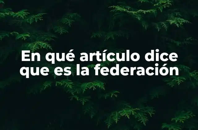 En Qué Artículo Dice que es la Federación