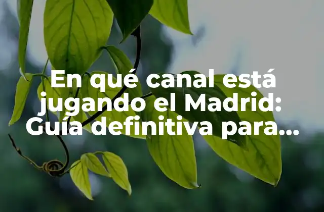 En Qué Canal Está Jugando el Madrid: Guía Definitiva para Encontrar el Partido Del Real Madrid