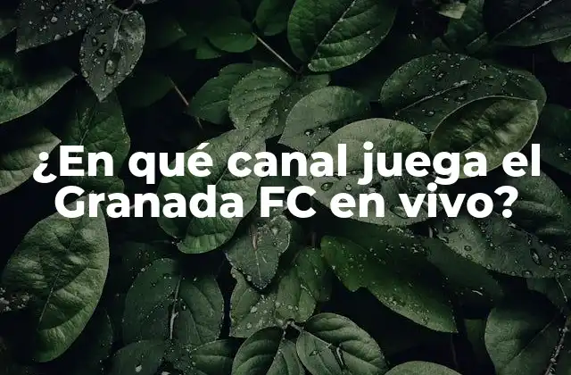 ¿en Qué Canal Juega el Granada Fc en Vivo?