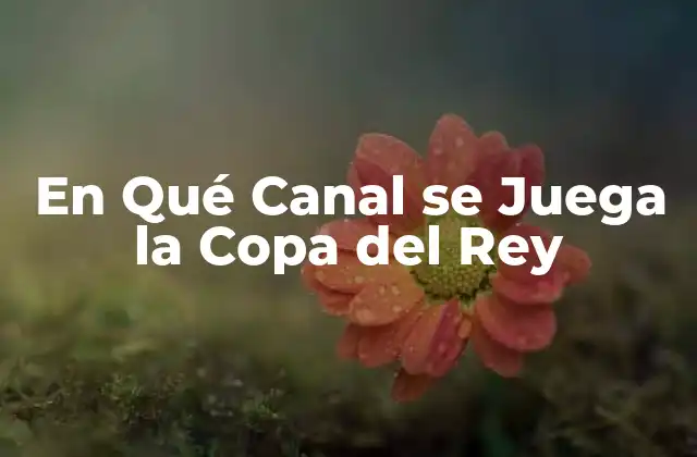 En Qué Canal Se Juega la Copa Del Rey