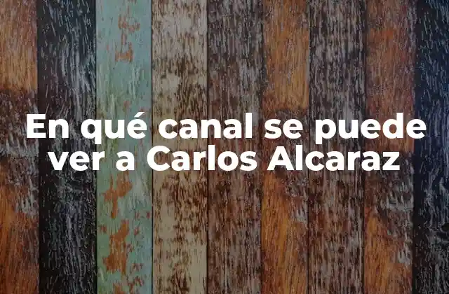 La carrera de Carlos Alcaraz hasta ahora