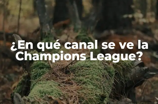 ¿en Qué Canal Se Ve la Champions League?