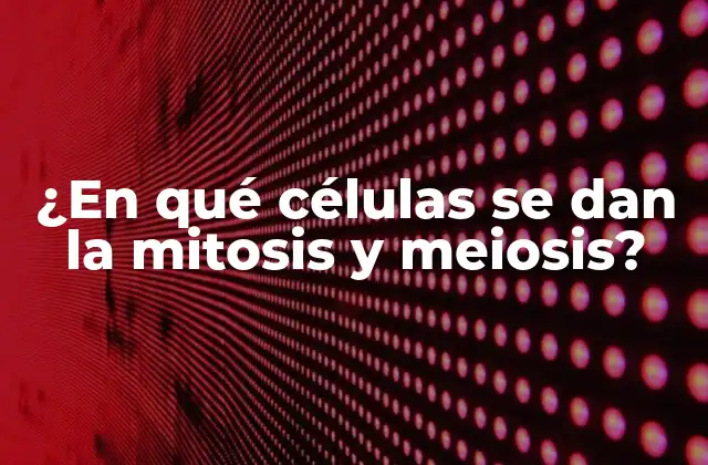 ¿en Qué Células Se Dan la Mitosis y Meiosis? 2 ¿Qué es la mitosis?
