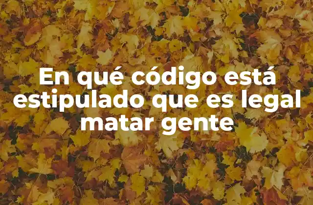 Cómo las leyes nacionales regulan el uso de la fuerza letal
