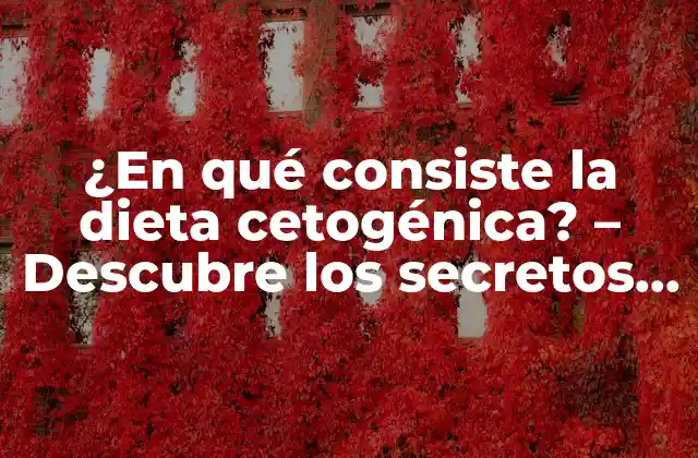 ¿en Qué Consiste la Dieta Cetogénica? – Descubre los Secretos Detrás de Esta Revolucionaria Forma de Perder Peso