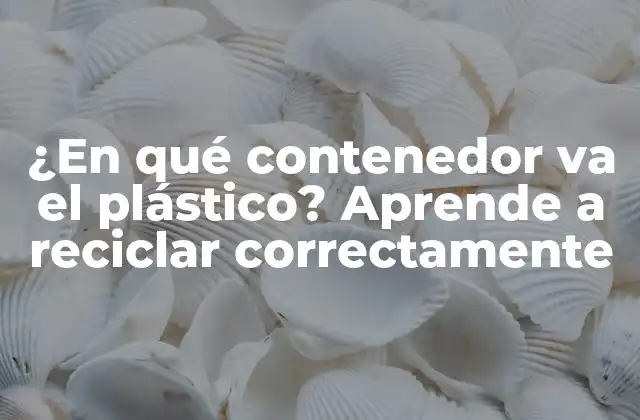 ¿en Qué Contenedor Va el Plástico? Aprende a Reciclar Correctamente