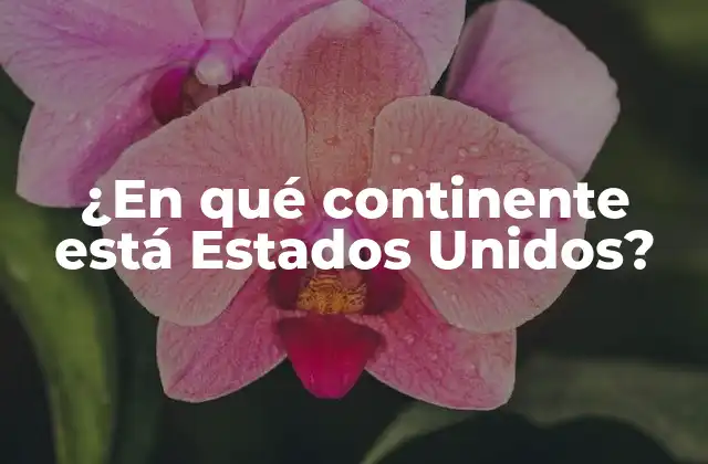 ¿en Qué Continente Está Estados Unidos? 2 Definición de un continente