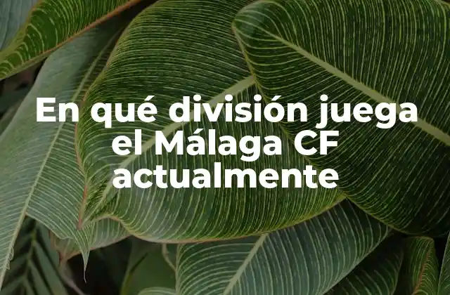 En Qué División Juega el Málaga Cf Actualmente
