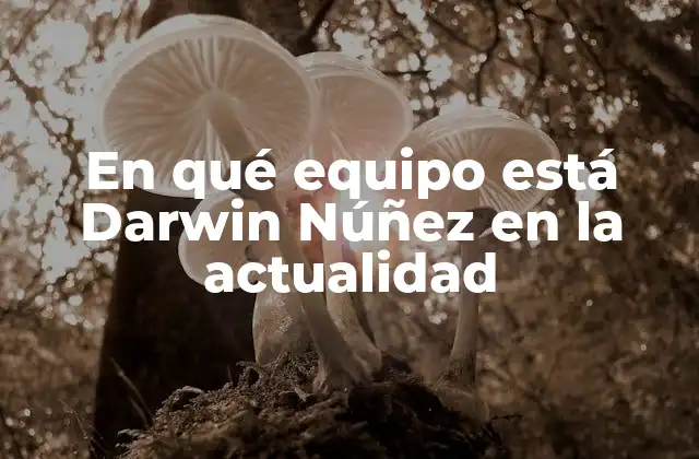 En Qué Equipo Está Darwin Núñez en la Actualidad