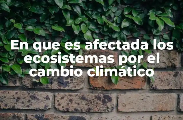 En que es Afectada los Ecosistemas por el Cambio Climático