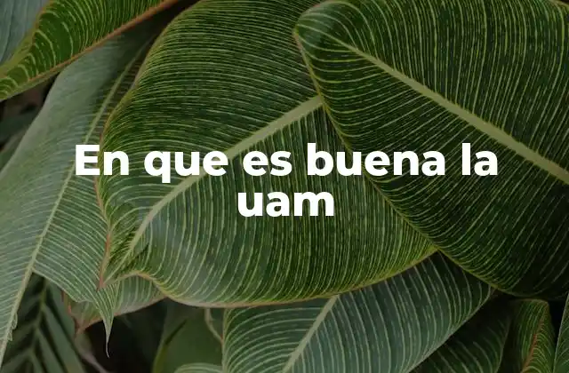 En que es Buena la Uam