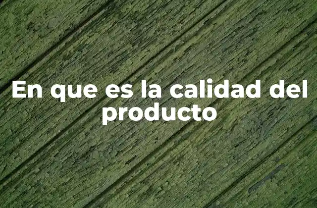 En que es la Calidad Del Producto