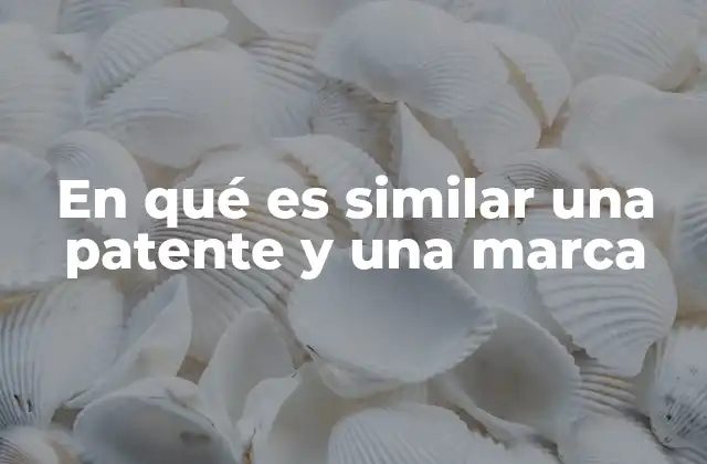 En Qué es Similar una Patente y una Marca