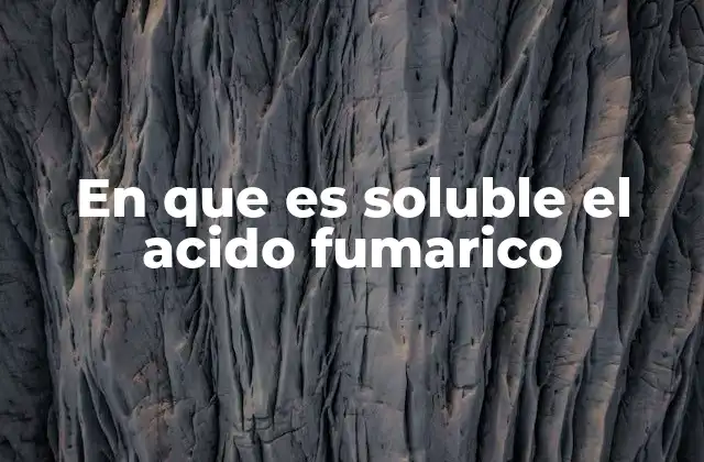 En que es Soluble el Acido Fumarico 2 Las implicaciones de la solubilidad en la industria alimentaria