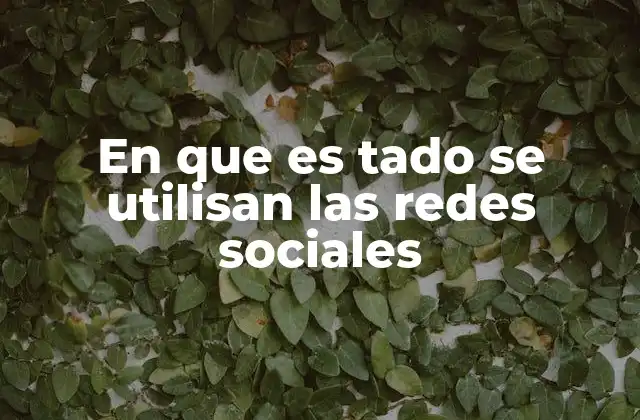 En que es Tado Se Utilisan las Redes Sociales