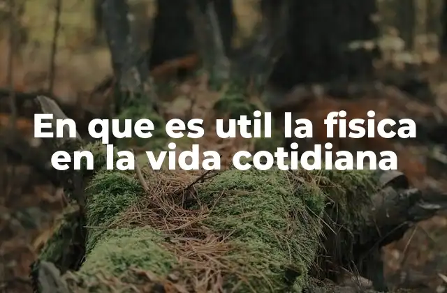 En que es Util la Fisica en la Vida Cotidiana