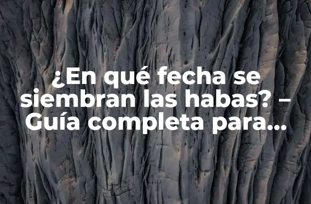 ¿en Qué Fecha Se Siembran las Habas? – Guía Completa para Jardineros