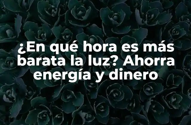 ¿en Qué Hora es Más Barata la Luz? Ahorra Energía y Dinero