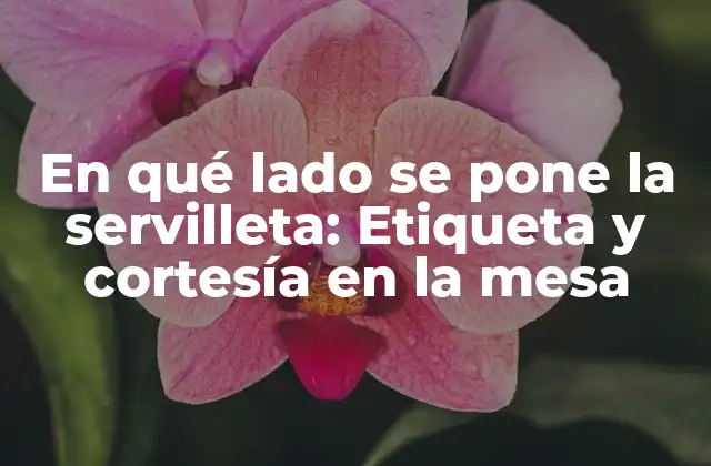 En Qué Lado Se Pone la Servilleta: Etiqueta y Cortesía en la Mesa