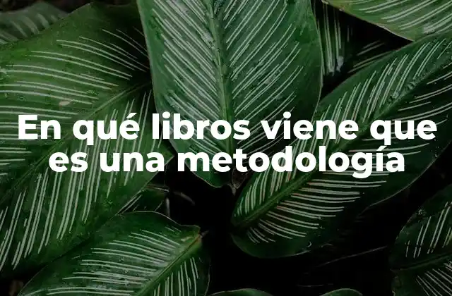 En Qué Libros Viene que es una Metodología