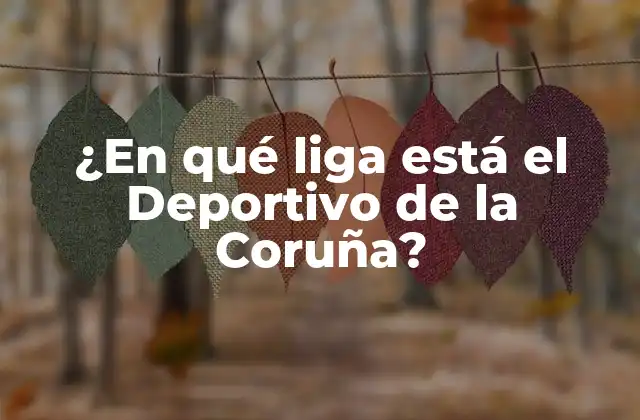 ¿en Qué Liga Está el Deportivo de la Coruña?