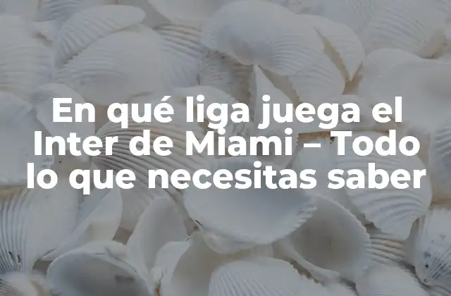 En Qué Liga Juega el Inter de Miami – Todo Lo que Necesitas Saber