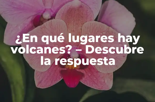 ¿en Qué Lugares Hay Volcanes? – Descubre la Respuesta