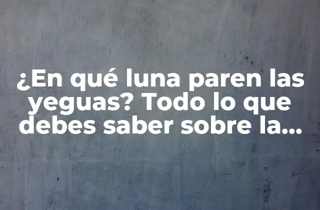 ¿en Qué Luna Paren las Yeguas? Todo Lo que Debes Saber sobre la Reproducción de Équidos