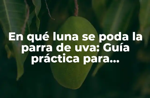 En Qué Luna Se Poda la Parra de Uva: Guía Práctica para Viticultores