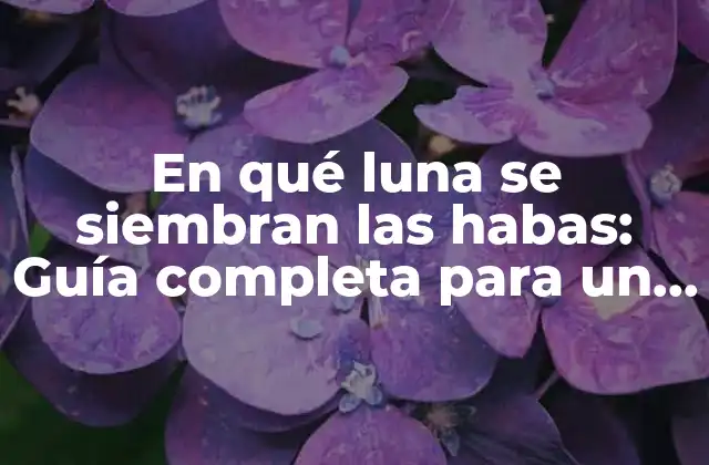 En Qué Luna Se Siembran las Habas: Guía Completa para un Cultivo Exitoso