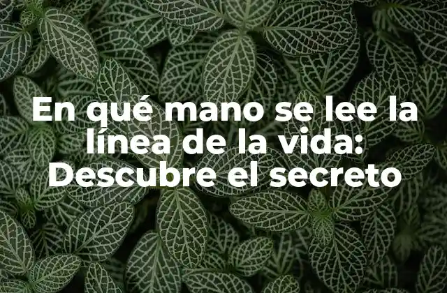 En Qué Mano Se Lee la Línea de la Vida: Descubre el Secreto