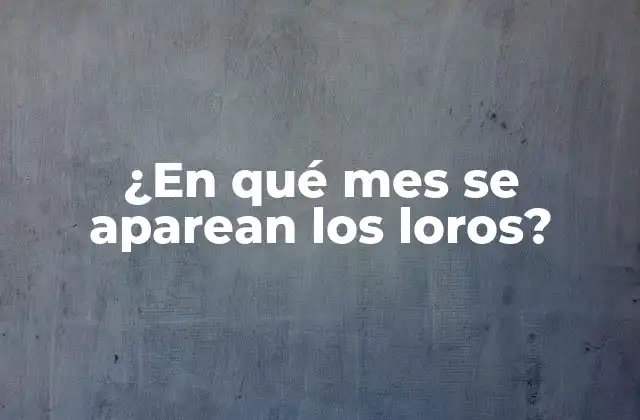 ¿en Qué Mes Se Aparean los Loros?