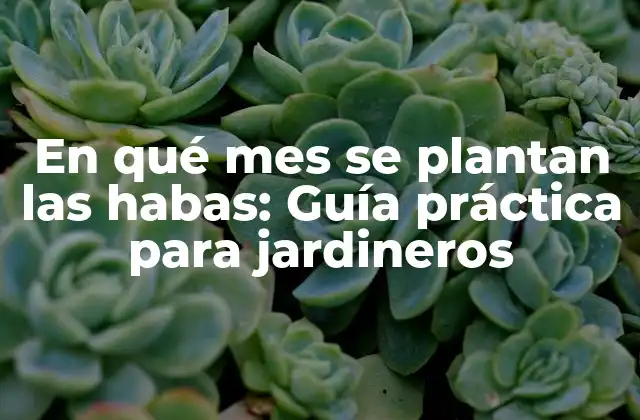 En Qué Mes Se Plantan las Habas: Guía Práctica para Jardineros