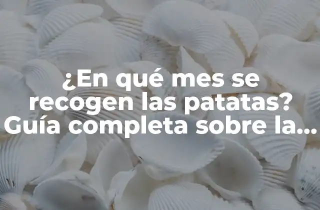 ¿en Qué Mes Se Recogen las Patatas? Guía Completa sobre la Cosecha de Patatas