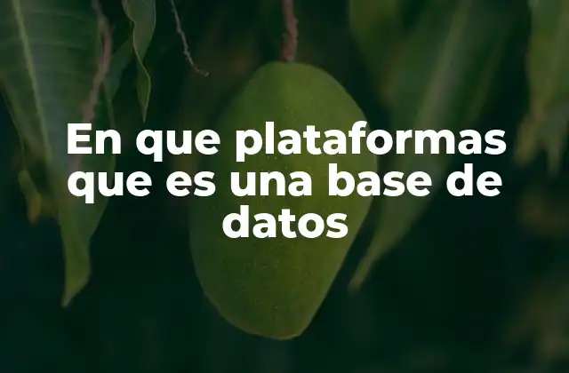 En que Plataformas que es una Base de Datos 2 Plataformas digitales y su relación con las bases de datos