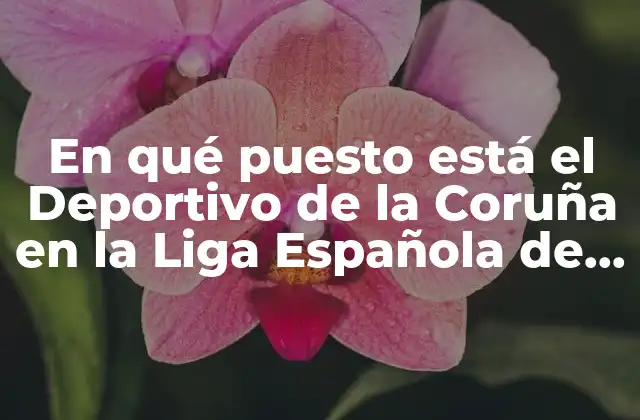 En Qué Puesto Está el Deportivo de la Coruña en la Liga Española de Fútbol
